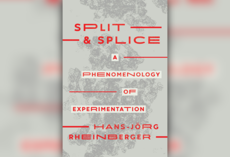 Towards entry "Split and Splice: A Phenomenology of Experimentation"